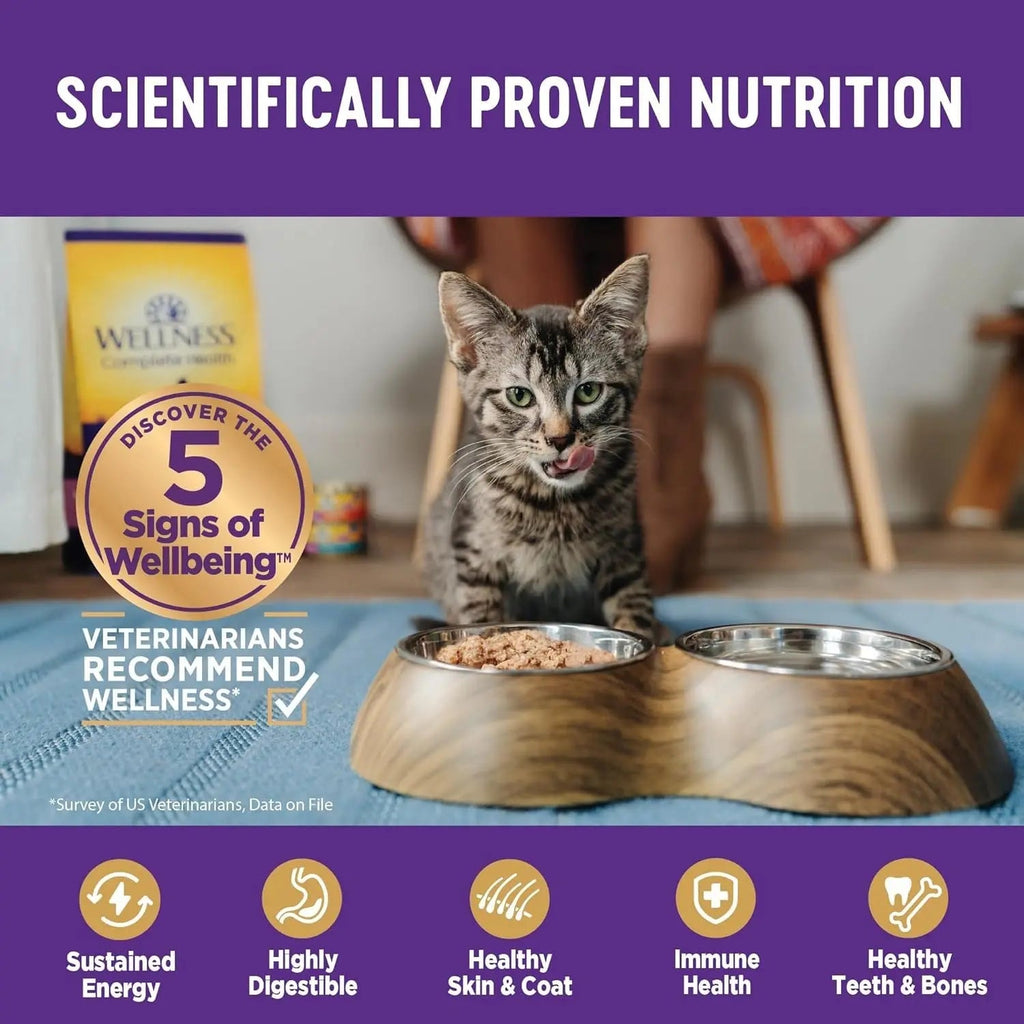 Wellness Complete Health Pate Adult Wet Cat Food, Natural, Protein-Rich, Grain F -  Wellness